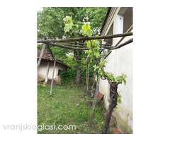 Kuća na selu i zemljište na prodaku - Slika 9/14