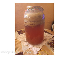 Prodajem KOMBUHU