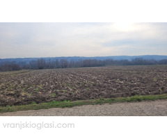 Parcela 1.8hektara (visokonaponska struja) ravna - Slika 3/5