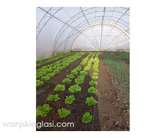 Kuća u Deču, opština Pećinci - Slika 19/20