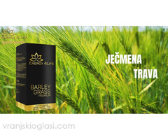 Barley Grass Premium – Ječmena trava