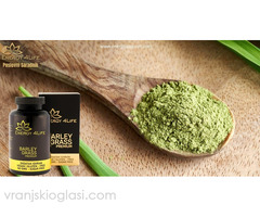 Barley Grass Premium – Ječmena trava - Slika 4/4