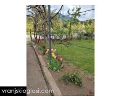 Kuca u Surdulici,180m2,6ari placa - Slika 12/16